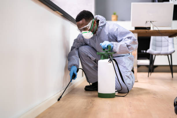 Best Fumigation Services  in Viera West, FL